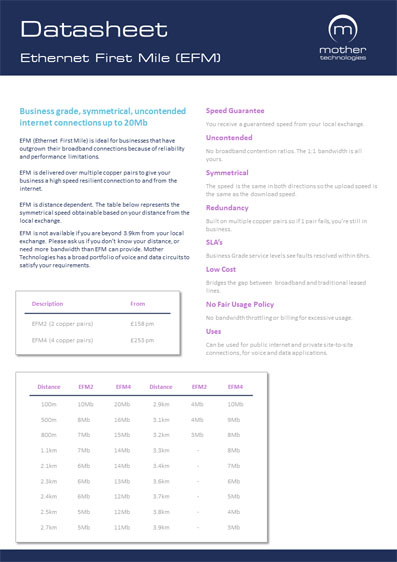 EFM Datasheet