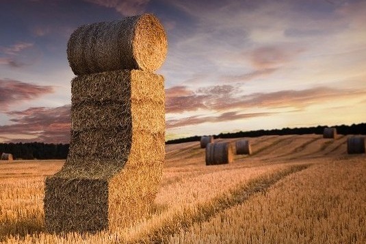 agricultural landscape